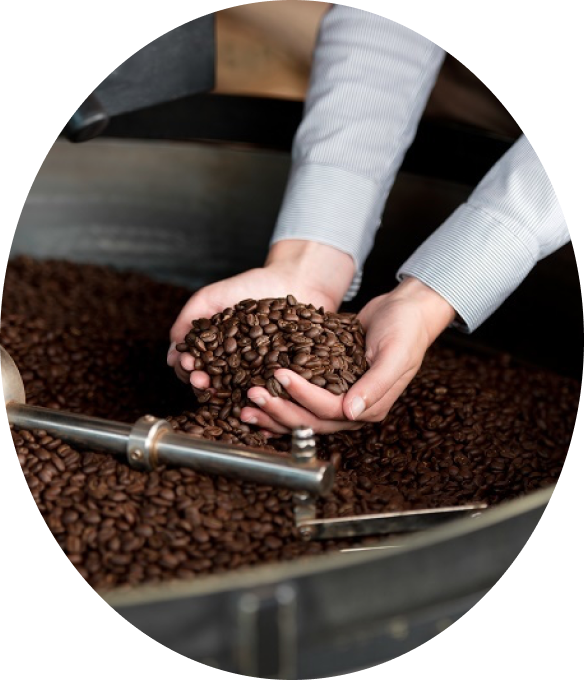 Главная страница